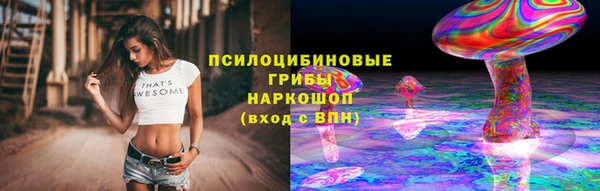 сатива Магас