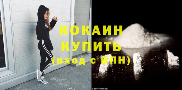 сатива Магас