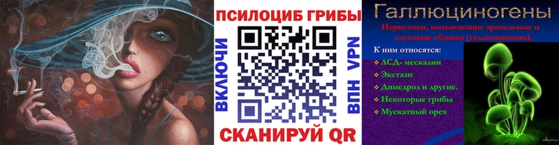 где можно купить   Мантурово  Галлюциногенные грибы мицелий 